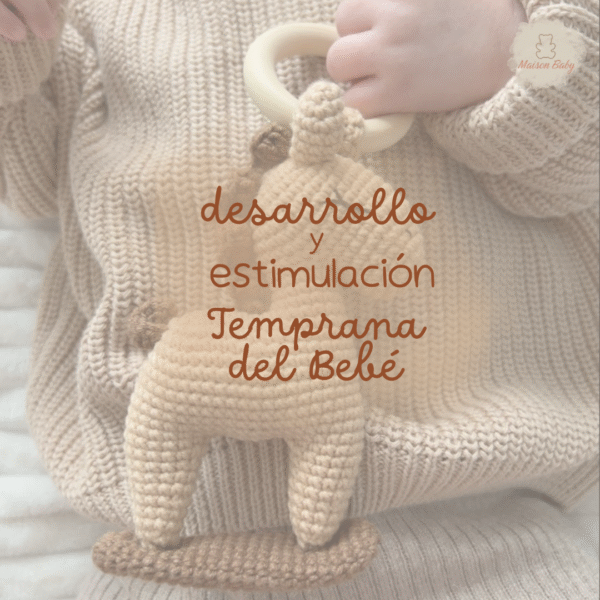curso desarrollo